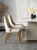 Modern Faux Leather Dining Chair with Stainless Steel Frame for Diningroom (Set of 2) jh-chair-b(xp)