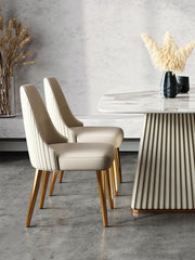 Modern Faux Leather Dining Chair with Stainless Steel Frame for Diningroom (Set of 2) jh-chair-b(xp)