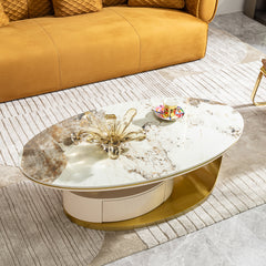 0.47" Sintered Stone Coffee Table with 2 Drawers, Gold Base