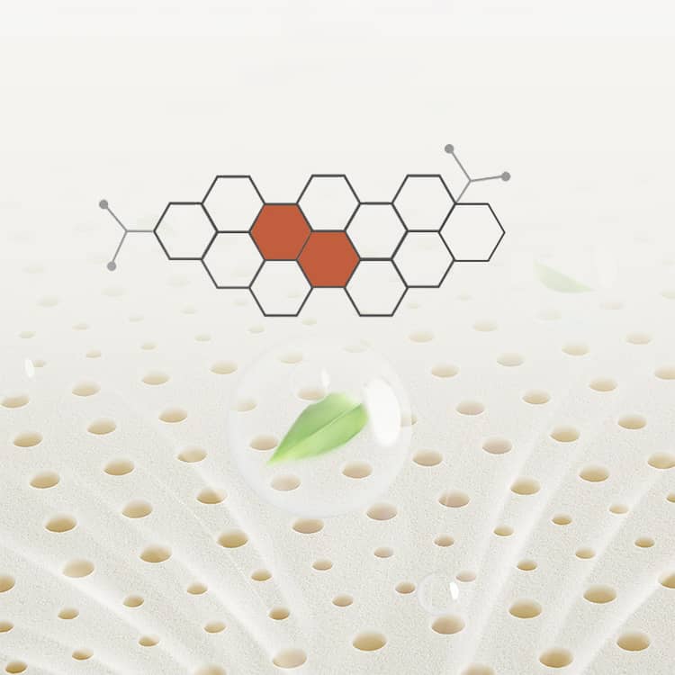 Modern Multi-Layer Steel and Wood Bed with Bamboo Charcoal Foam and Figure Cotton Topper - Available in Grey, Black, Blue, Brown, and Off White fcsnm-908 Modern Multi-Layer Steel and Wood Bed with Bamboo Charcoal Foam and Figure Cotton Topper - Available in Grey, Black, Blue, Brown, and Off White fcsnm-908