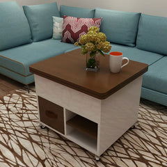 Multi-Functional Coffee Table with Storage - Stylish Multi-Layer Design fcx-2589 for Living Room