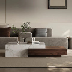 Modern Elegant Coffee Table with Sintered Stone and Pine Density Board - Stylish Centerpiece for Living Room Decor fjd-4698