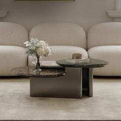 Stylish Stone Sintered Coffee Table - Modern Stainless Steel Design for Contemporary Living Rooms fjd-4716