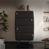 Modern Pine Density Board Cabinet with 4 Drawers - Stylish Storage Solution for Home and Office fjd-4745