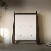 Stylish Ash Wood Density Board Cabinet with Modern Design and Gold Accents - Perfect for Any Room! fjd-4746