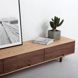 Sleek Oak & Walnut Wood TV Cabinet with Modern Storage Design fyf-2225