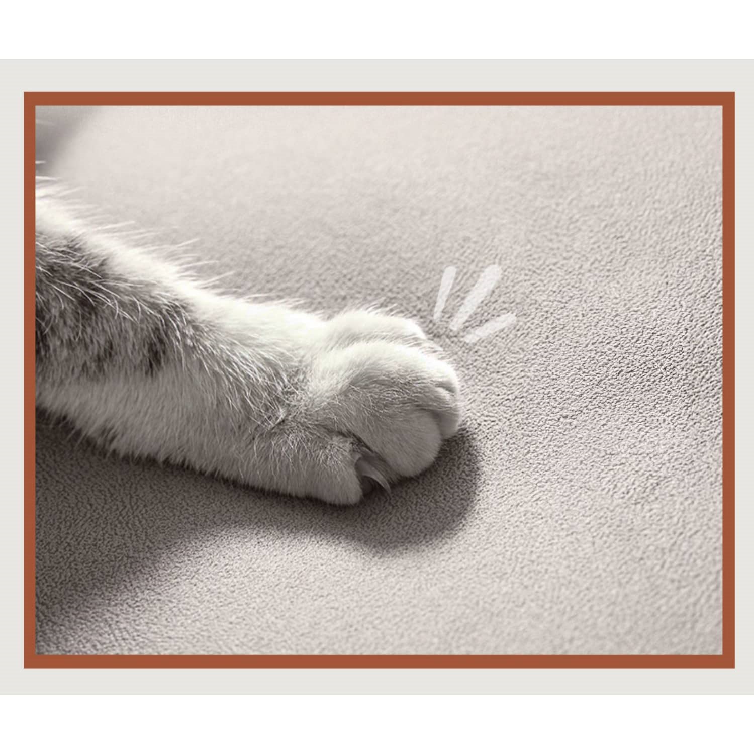 Modern California King Size Bed with Oak Wood Frame and Scratch-Resistant Fabric Headboard hbzwg-632 Modern California King Size Bed with Oak Wood Frame and Scratch-Resistant Fabric Headboard hbzwg-632