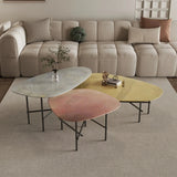 Stylish Sintered Stone Stainless Coffee Table Set – Modern Design with Artful Touch for Living Room Decor hmsf-4667