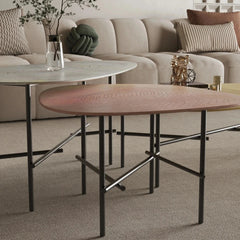 Stylish Sintered Stone Stainless Coffee Table Set – Modern Design with Artful Touch for Living Room Decor hmsf-4667