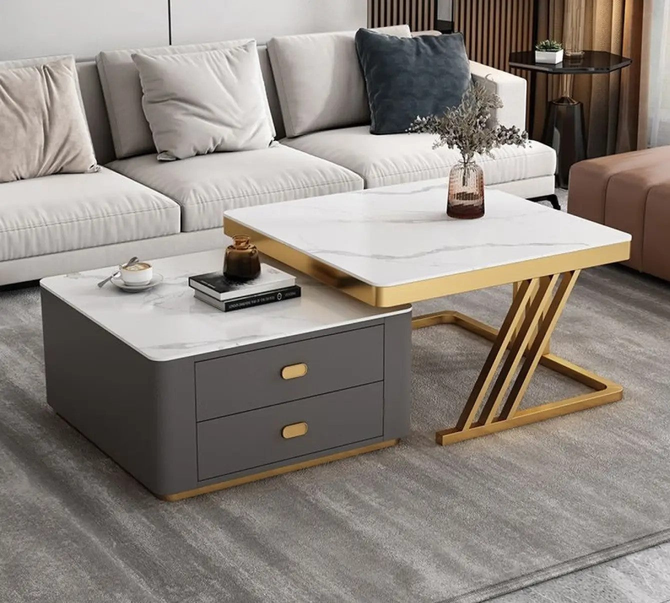 2-pieces Square Coffee Table with Storage - Modern Design for your LIvingroom frg-505