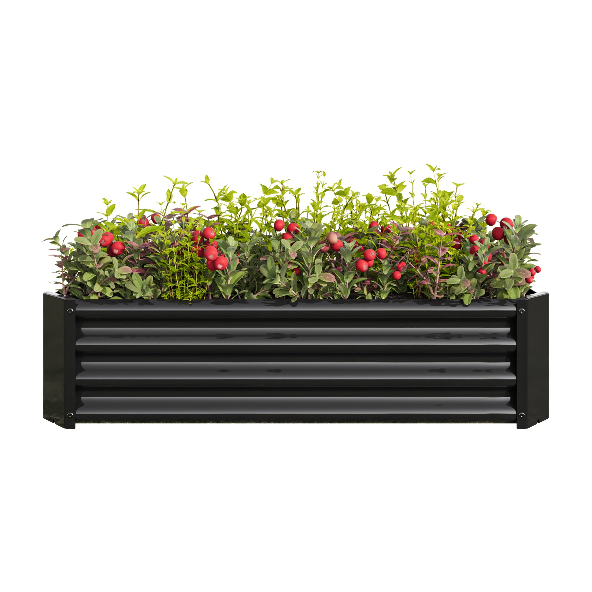 Metal Raised Garden Bed, Rectangle Raised Planter 4×2×1ft  for Flowers Plants, Vegetables Herb Black