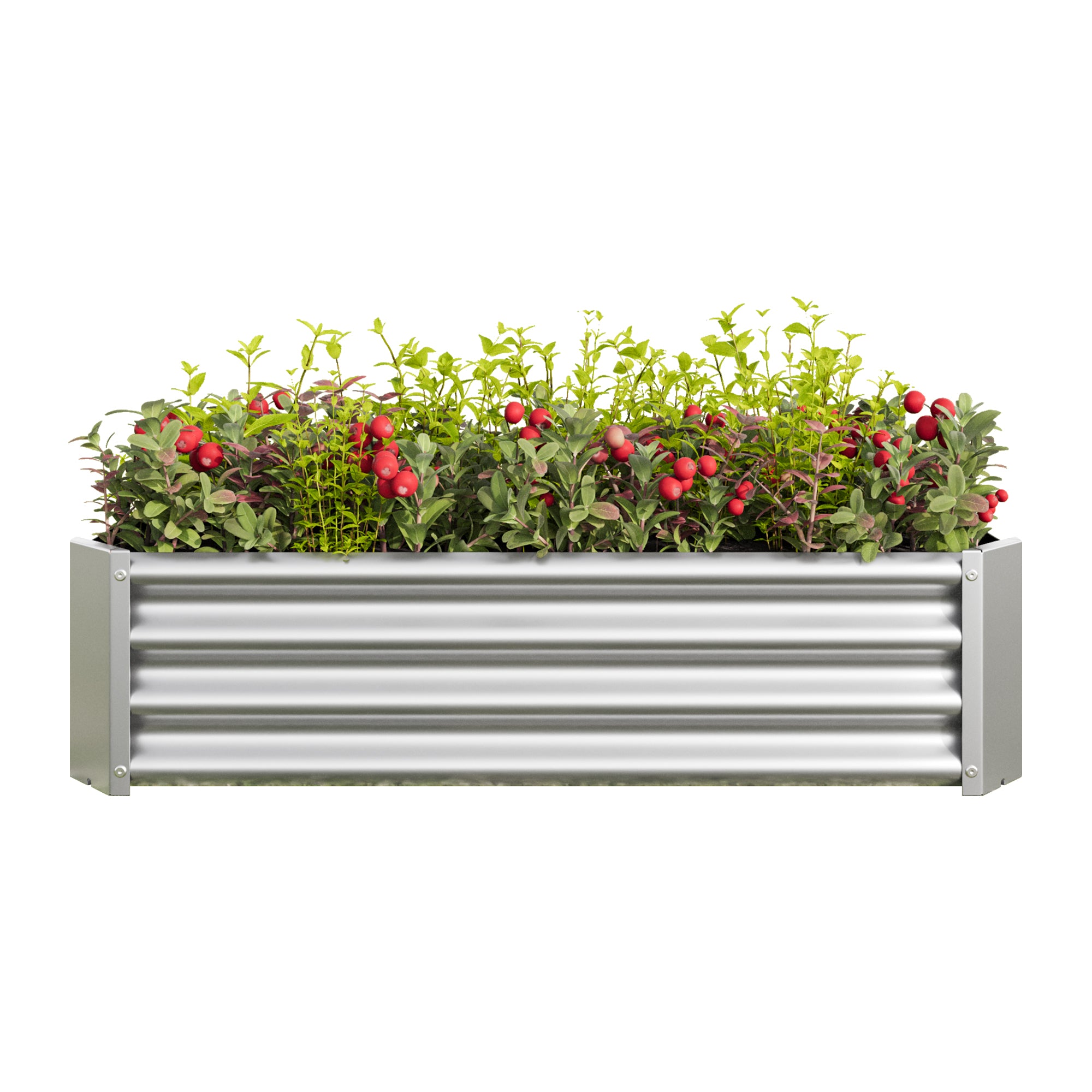 Metal Raised Garden Bed, Rectangle Raised Planter 4×2×1ft  for Flowers Plants, Vegetables Herb  Silver