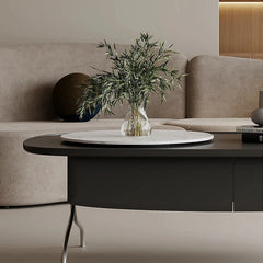 Modern Sintered Stone Coffee Table with Stainless Steel Base - Stylish Oval Design for Living Room fjd-4703