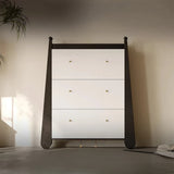 Stylish Ash Wood Density Board Cabinet with Modern Design and Gold Accents - Perfect for Any Room! fjd-4746