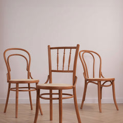 Minimalistic Beech Wood Dining Chair Collections with Rattan Design for Diningroom fyx-888