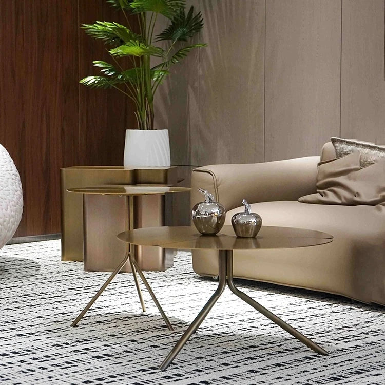 Stylish Stainless Steel Coffee Table - Modern Design with Elegant Finish for Living Room Decor hmsf-4665