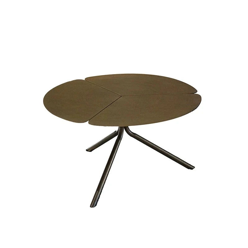 Stylish Stainless Steel Coffee Table - Modern Design with Elegant Finish for Living Room Decor hmsf-4665