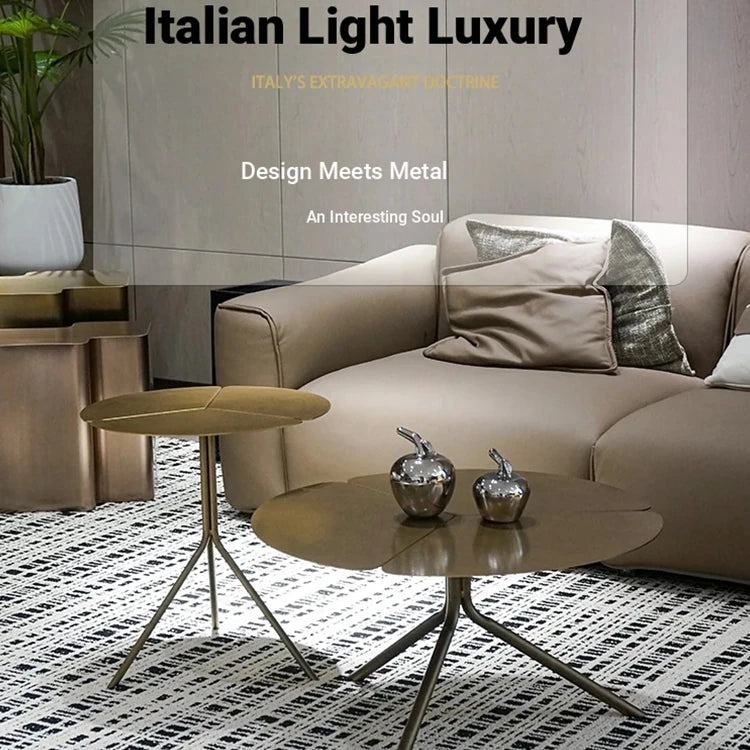 Stylish Stainless Steel Coffee Table - Modern Design with Elegant Finish for Living Room Decor hmsf-4665