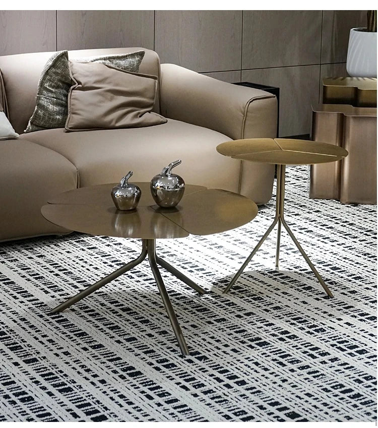 Stylish Stainless Steel Coffee Table - Modern Design with Elegant Finish for Living Room Decor hmsf-4665