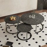 Stylish Acrylic Stainless Steel Coffee Table Set - Modern Nesting Tables for Living Room Decor hmsf-4668